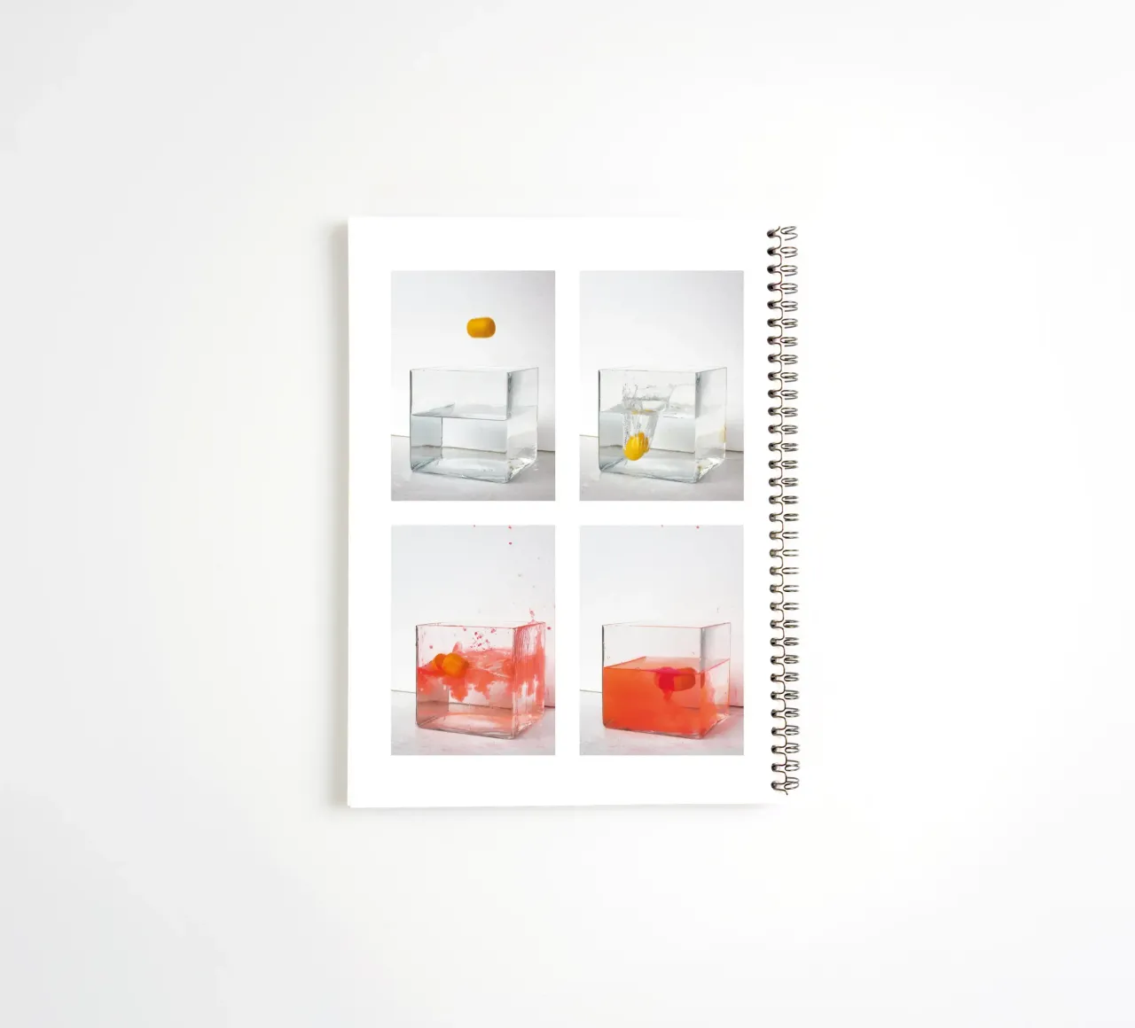 Capturing a Motion Sequence spiral notebook by kathrinmay