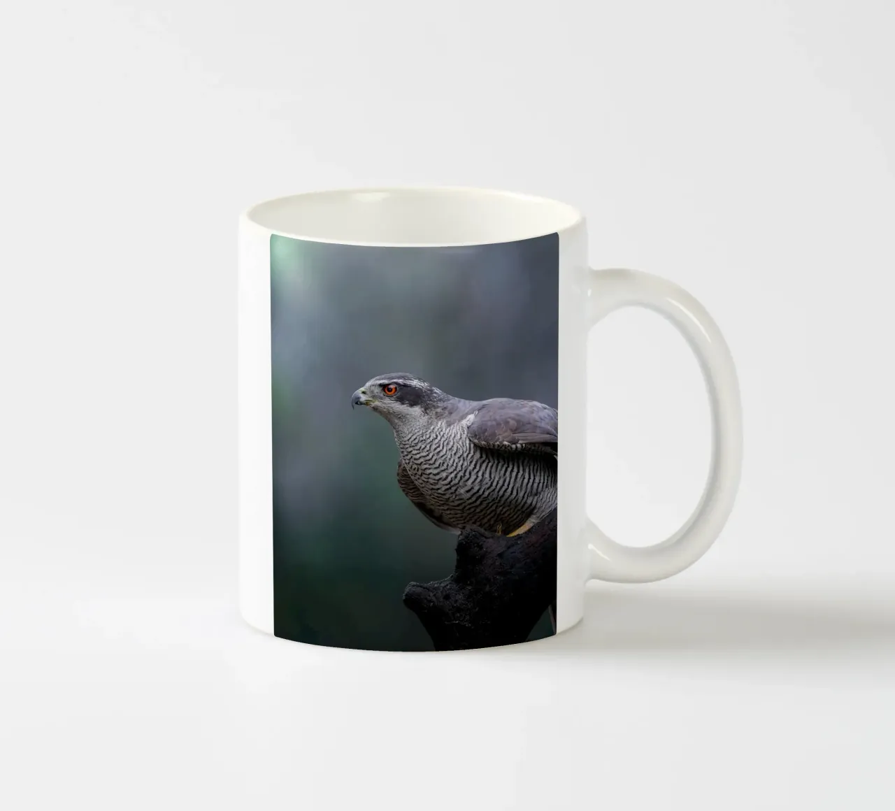 Astore nella foresta tazza in ceramica da Tom's Wildlife