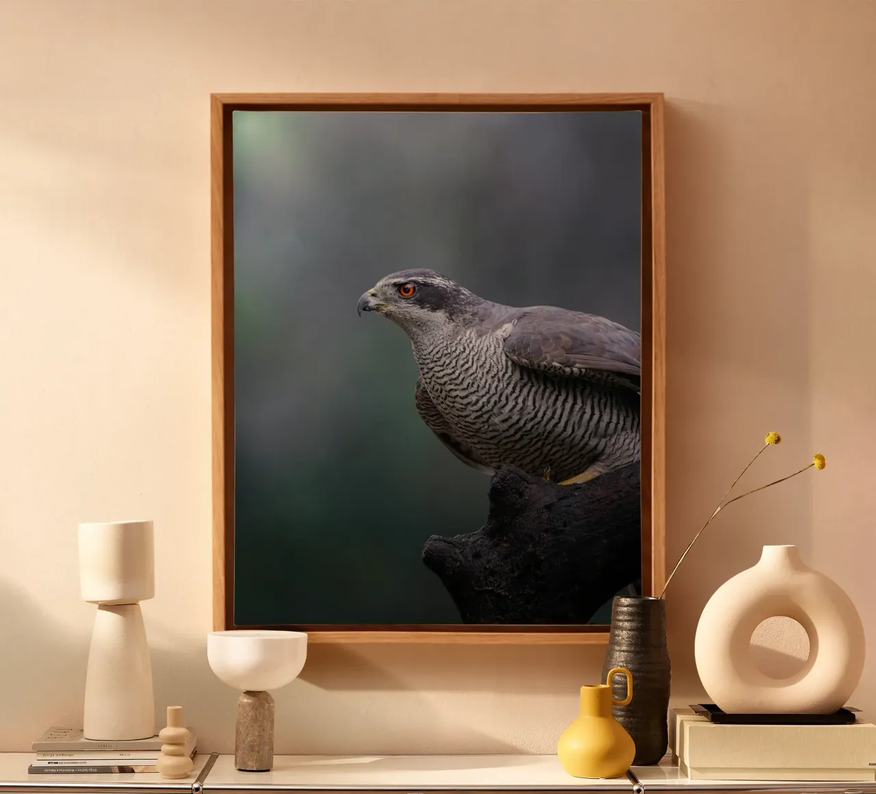 Goshawk in the forest canvas with Floater frame by Tom's Wildlife