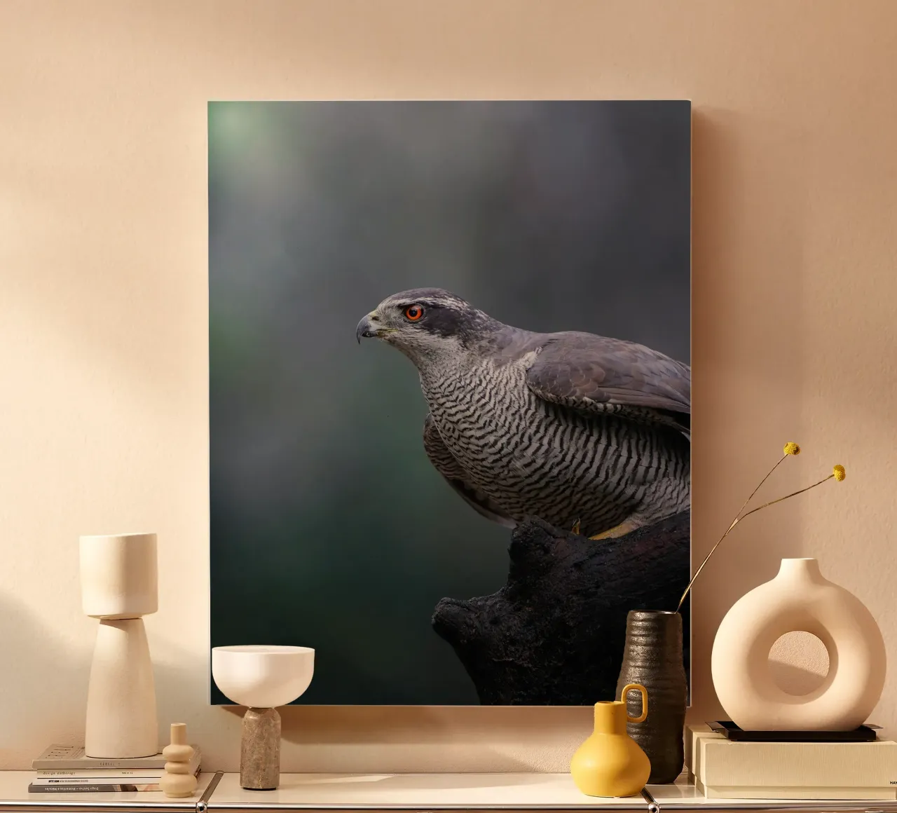 Goshawk in the forest canvas with Floater frame by Tom's Wildlife
