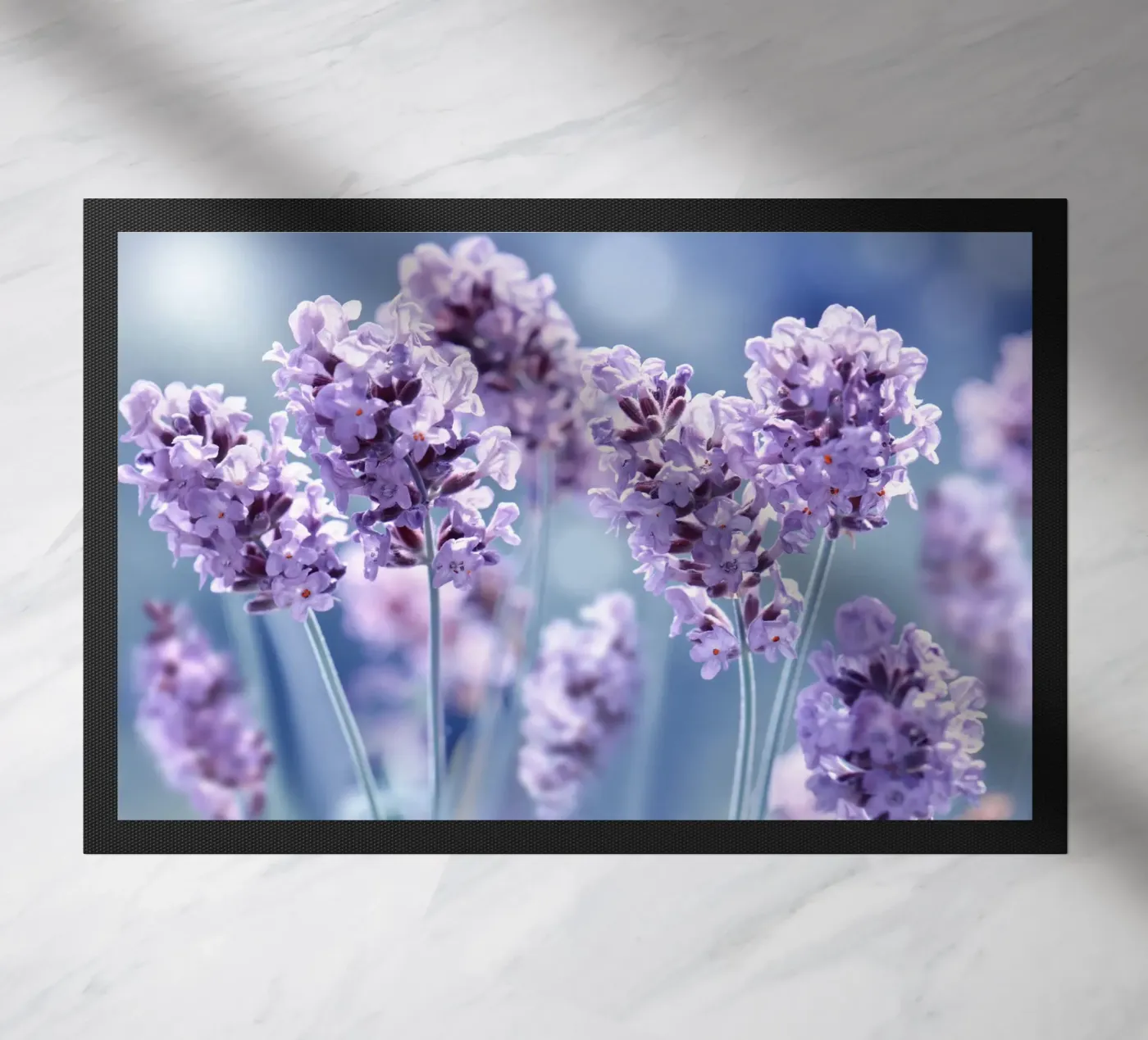 Lavender zerbino da Atteloi