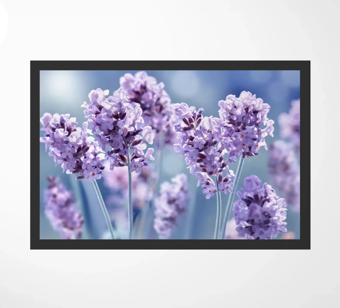 Lavender doormat by Atteloi