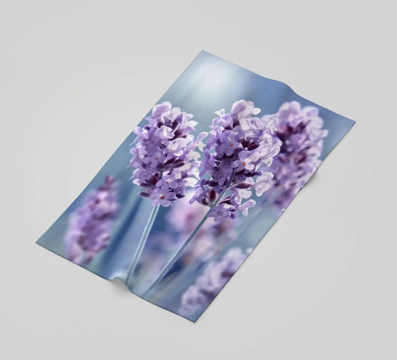 Lavender telo mare da Atteloi