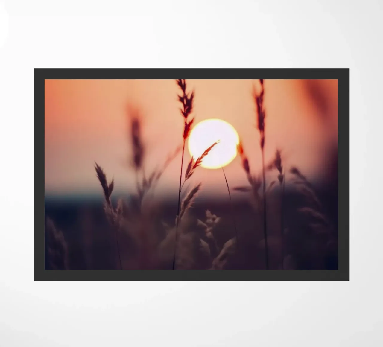 Glowing Sun zerbino da treechild