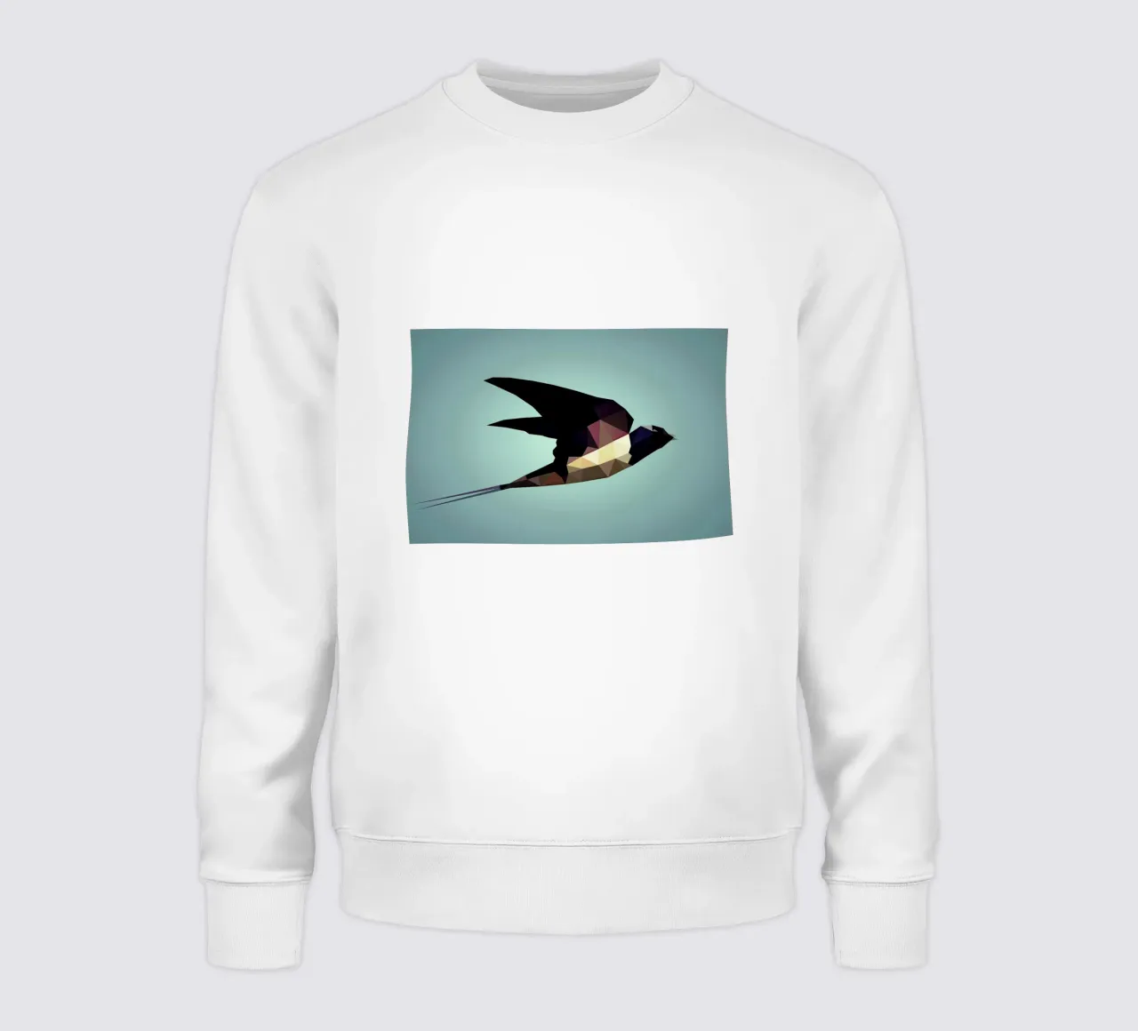 Hirundo rustica felpa da Matěj Kašpar Jirásek