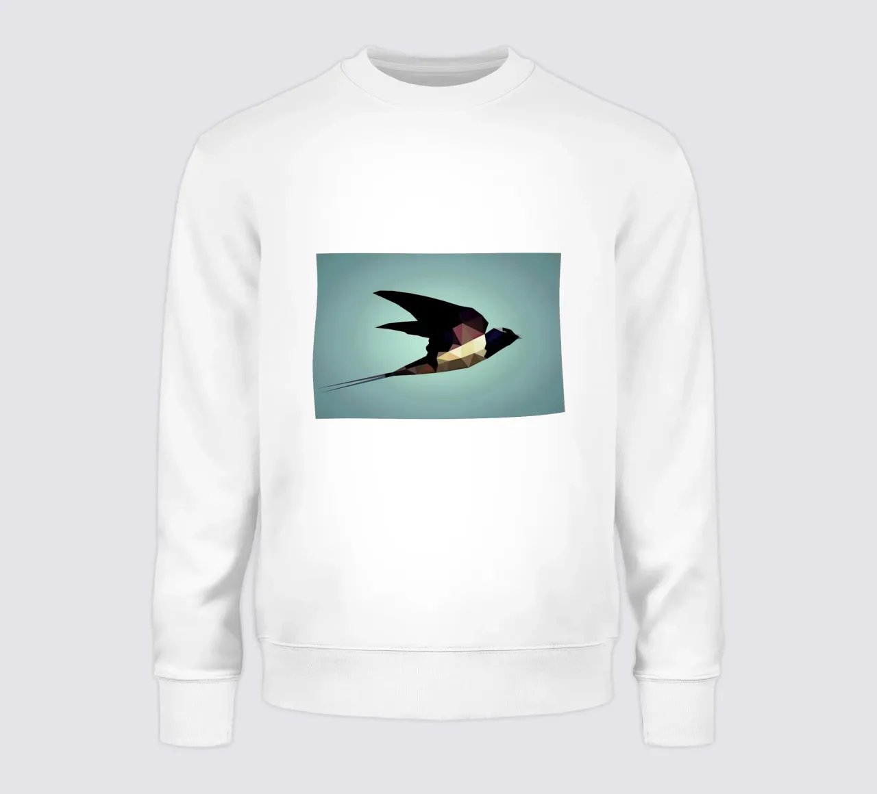 Hirundo rustica felpa da Matěj Kašpar Jirásek