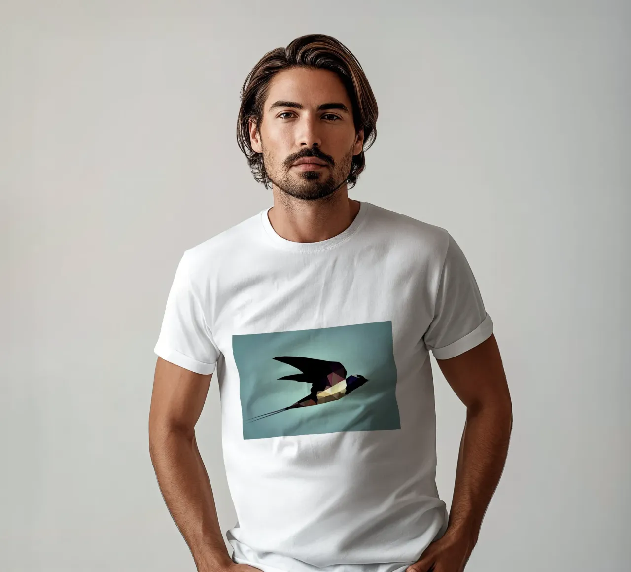 Hirundo rustica t-shirt da Matěj Kašpar Jirásek
