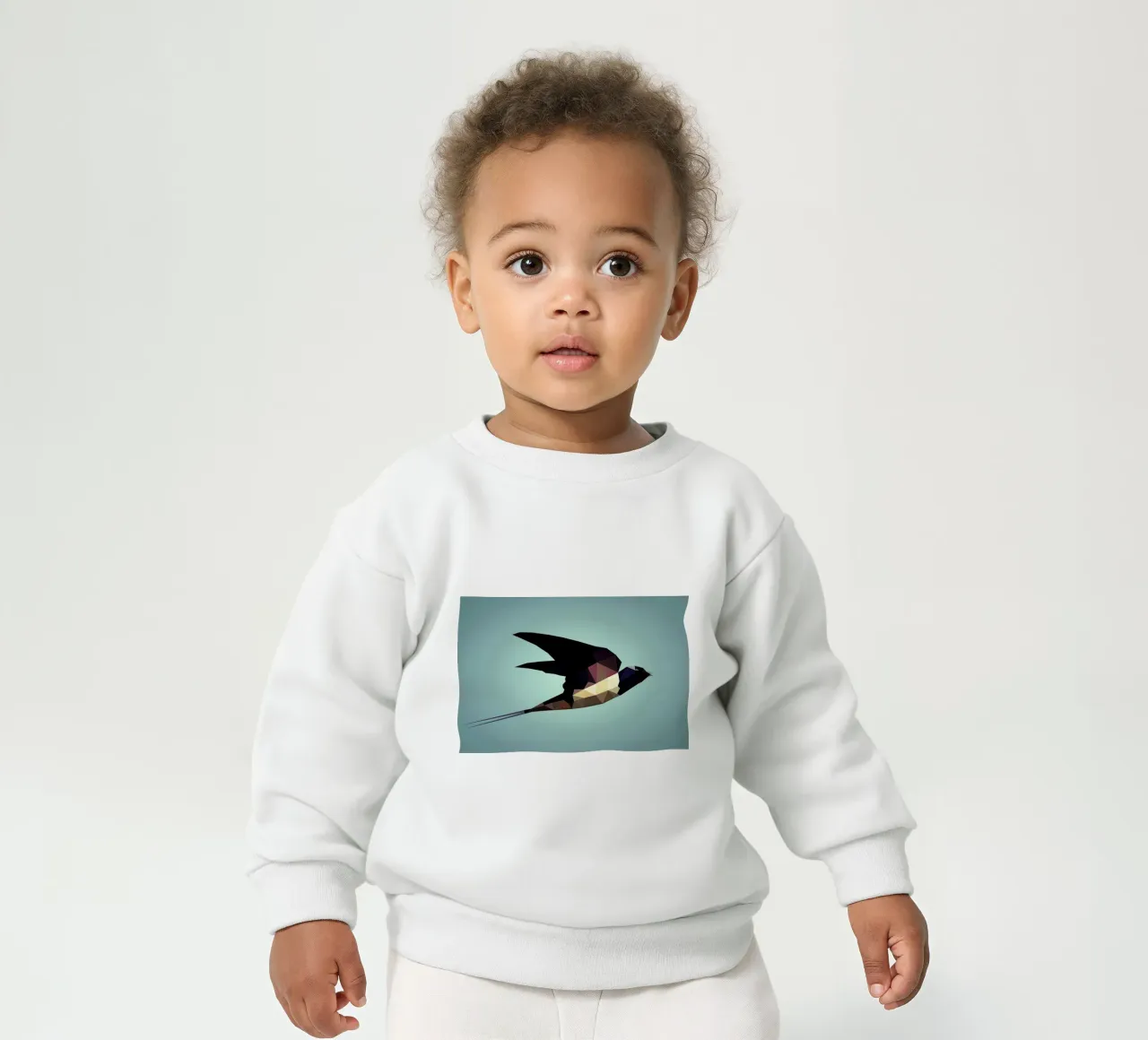 Hirundo rustica felpa neonato da Matěj Kašpar Jirásek