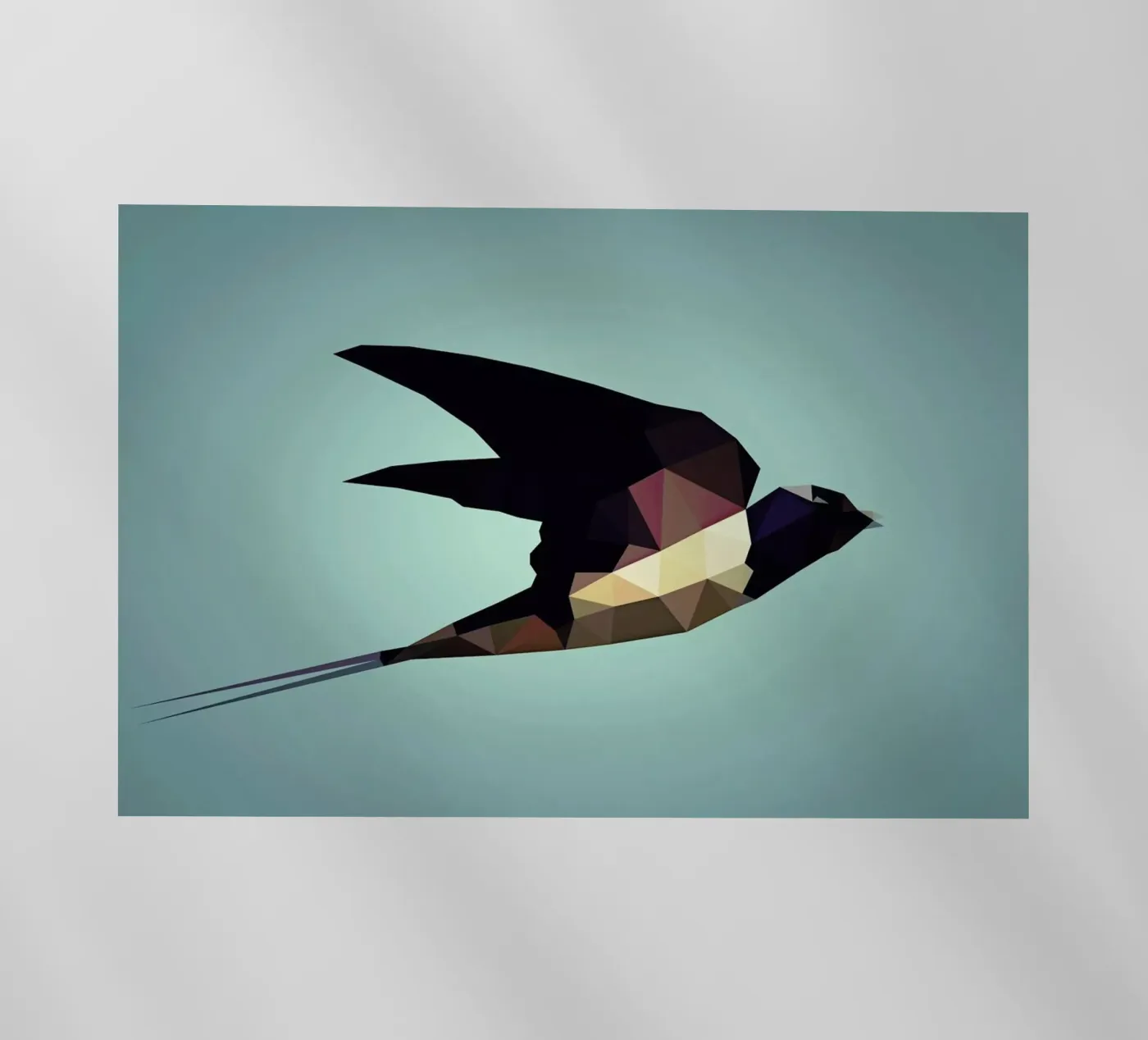 Hirundo rustica pellicola backlit da Matěj Kašpar Jirásek