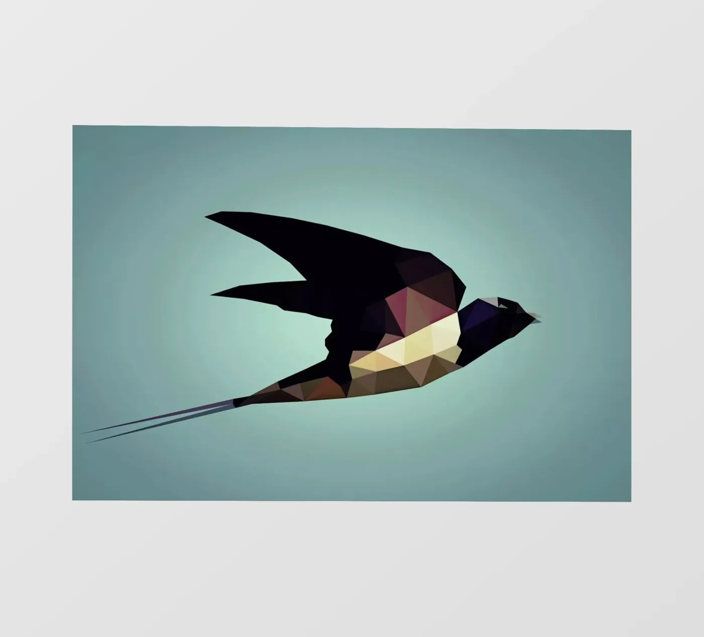 Hirundo rustica pellicola backlit da Matěj Kašpar Jirásek