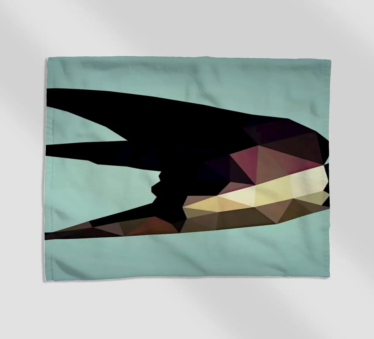 Hirundo rustica telo mare da Matěj Kašpar Jirásek