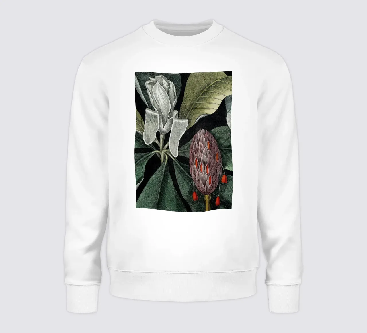 Vintage Catesby 1 Magnolia Amplissimo felpa da Vintage Print Collection