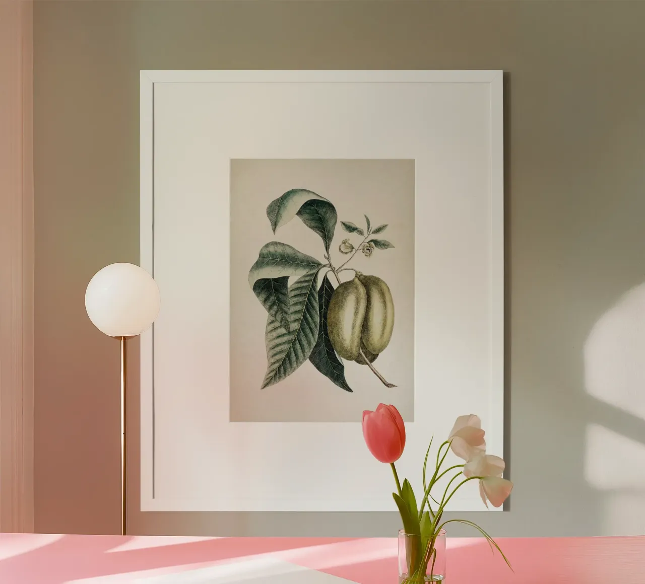 Vintage Catesby 2 Annona Triloba poster by Vintage Print Collection