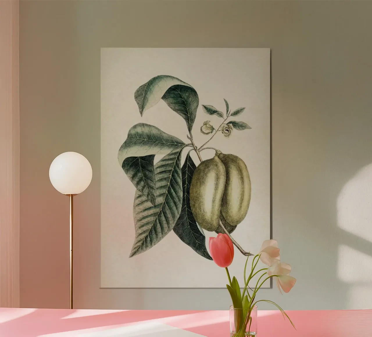 Vintage Catesby 2 Annona Triloba poster by Vintage Print Collection