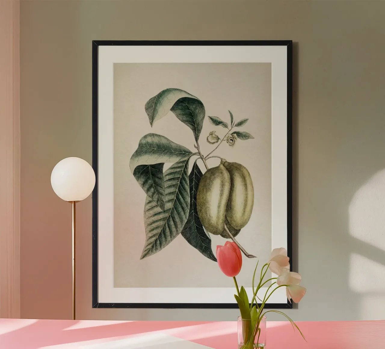 Vintage Catesby 2 Annona Triloba hahnemühle van Vintage Print Collection