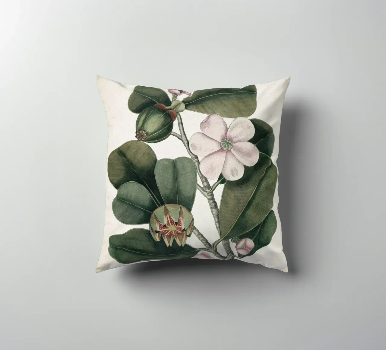 Vintage Catesby 2 Cenchramidea Arbor cuscino da Vintage Print Collection