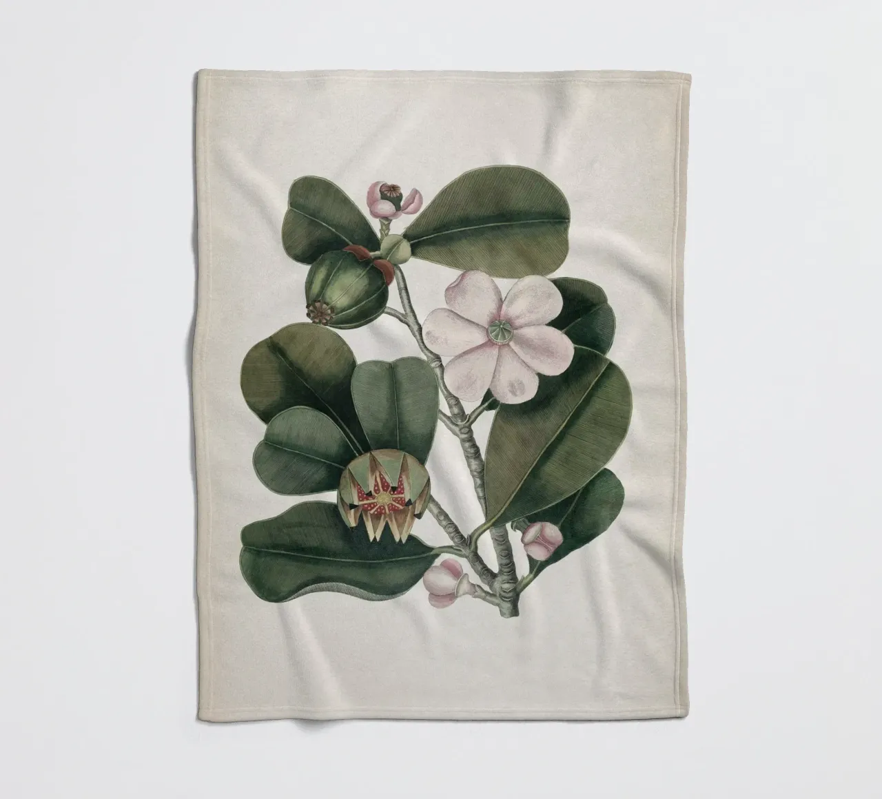 Vintage Catesby 2 Cenchramidea Arbor coperta in pile da Vintage Print Collection