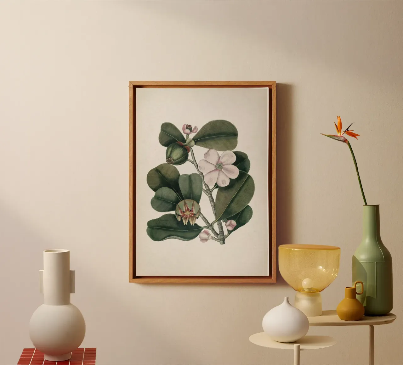 Vintage Catesby 2 Cenchramidea Arbor tela con Cornice a cassetta da Vintage Print Collection