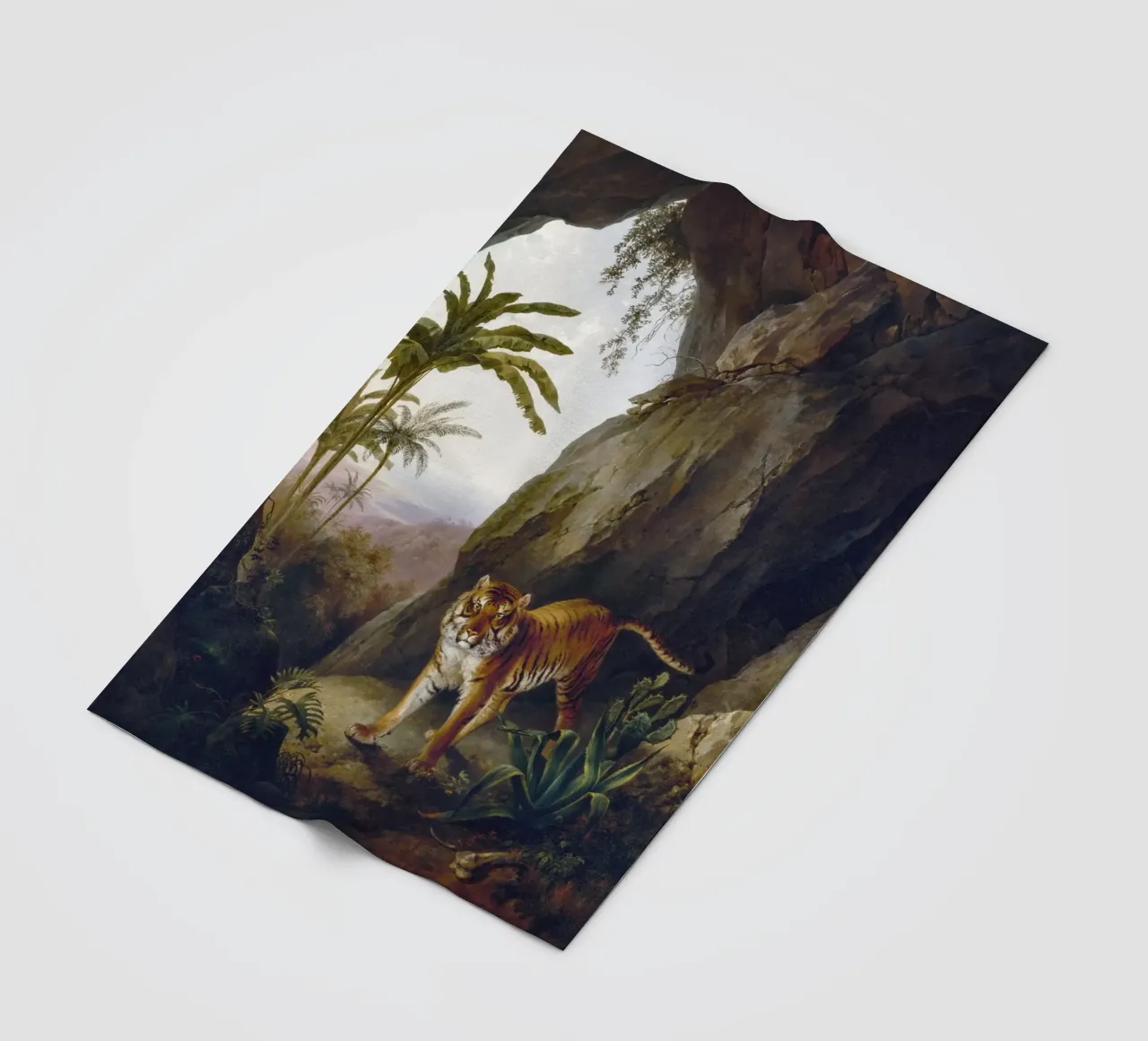 Tiger in a Cave coperta in pile da vintageshop