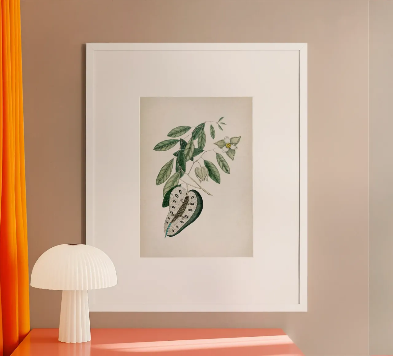 Vintage Catesby 2 Lacertus Caerulea poster con telaio in plastica da Vintage Print Collection
