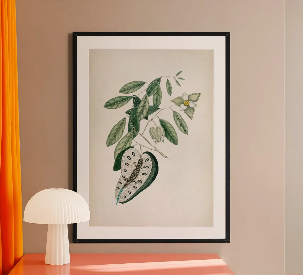 Vintage Catesby 2 Lacertus Caerulea poster con telaio in plastica da Vintage Print Collection