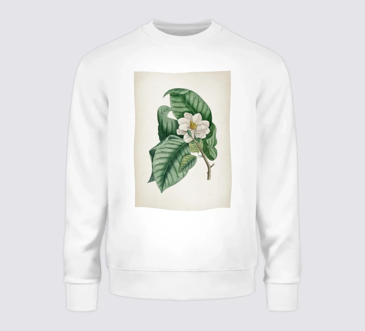 Vintage Catesby 2 Magnolia Parvus felpa da Vintage Print Collection