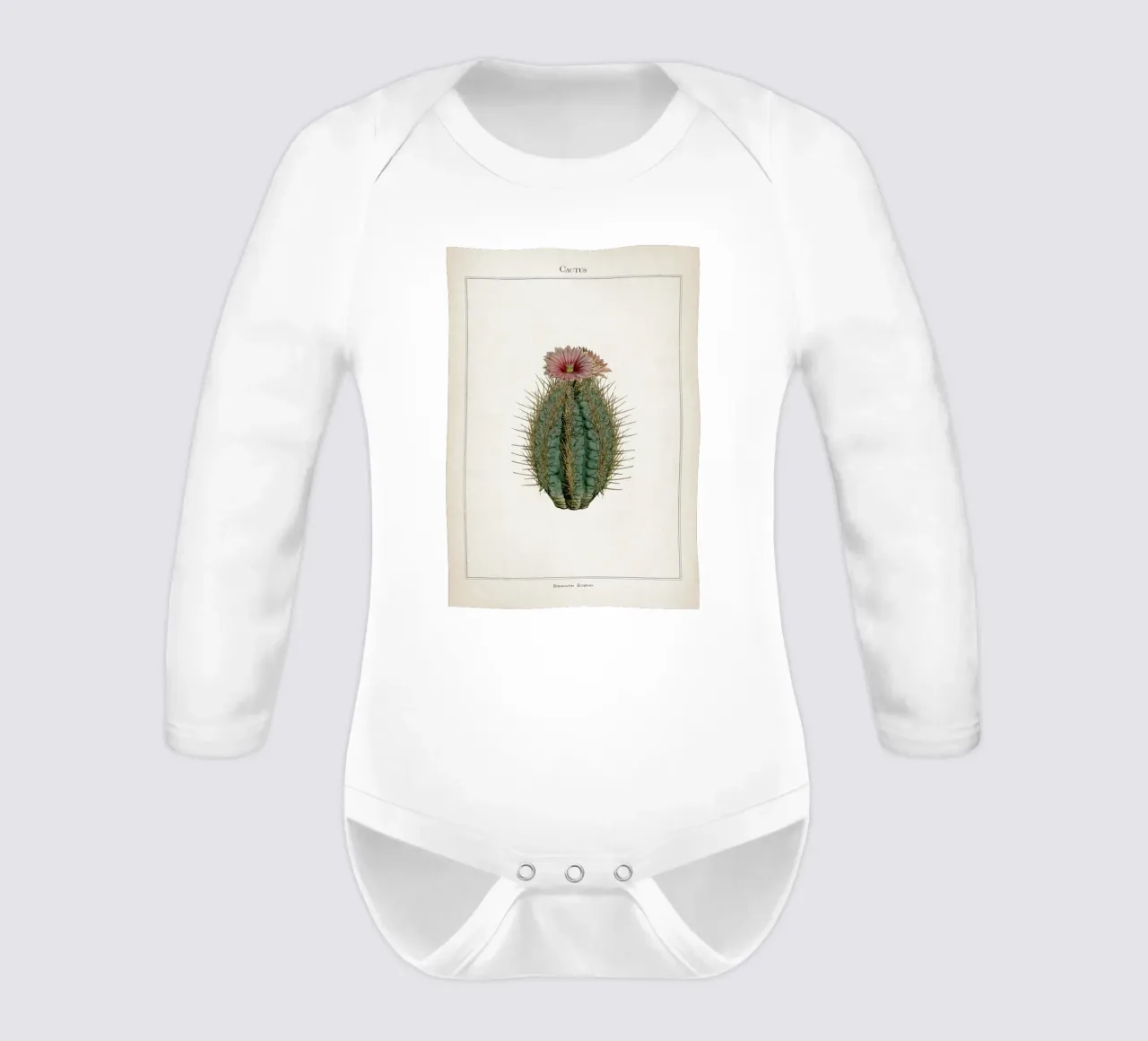 Vintage Curtis 2 Echinocactus Ellipticus long-sleeve baby romper by Vintage Print Collection