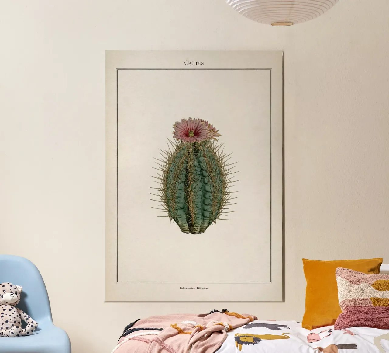 Vintage Curtis 2 Echinocactus Ellipticus carta hahnemühle da Vintage Print Collection
