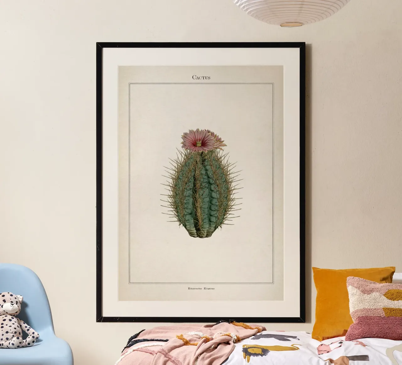 Vintage Curtis 2 Echinocactus Ellipticus carta hahnemühle da Vintage Print Collection