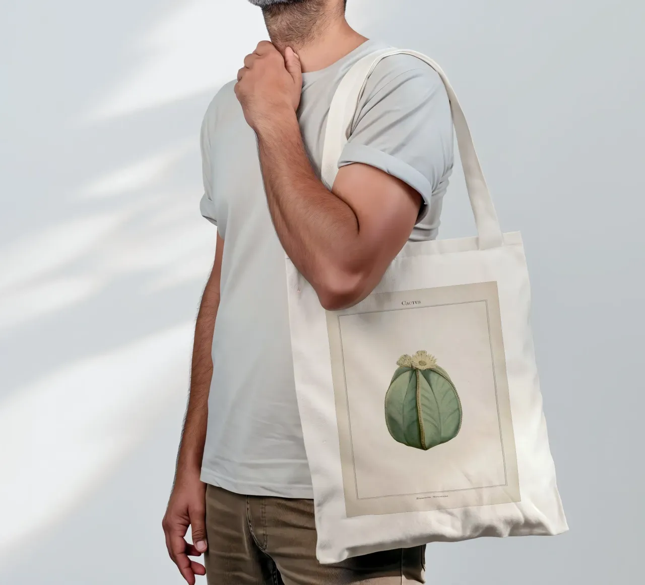 Vintage Curtis 2 Echinocactus Myriostigma tote bag by Vintage Print Collection