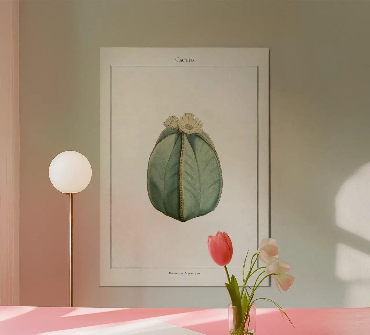 Vintage Curtis 2 Echinocactus Myriostigma carta hahnemühle da Vintage Print Collection