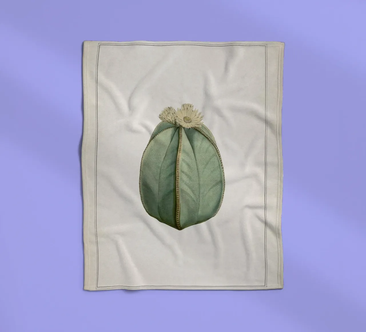 Vintage Curtis 2 Echinocactus Myriostigma coperta in pile da Vintage Print Collection