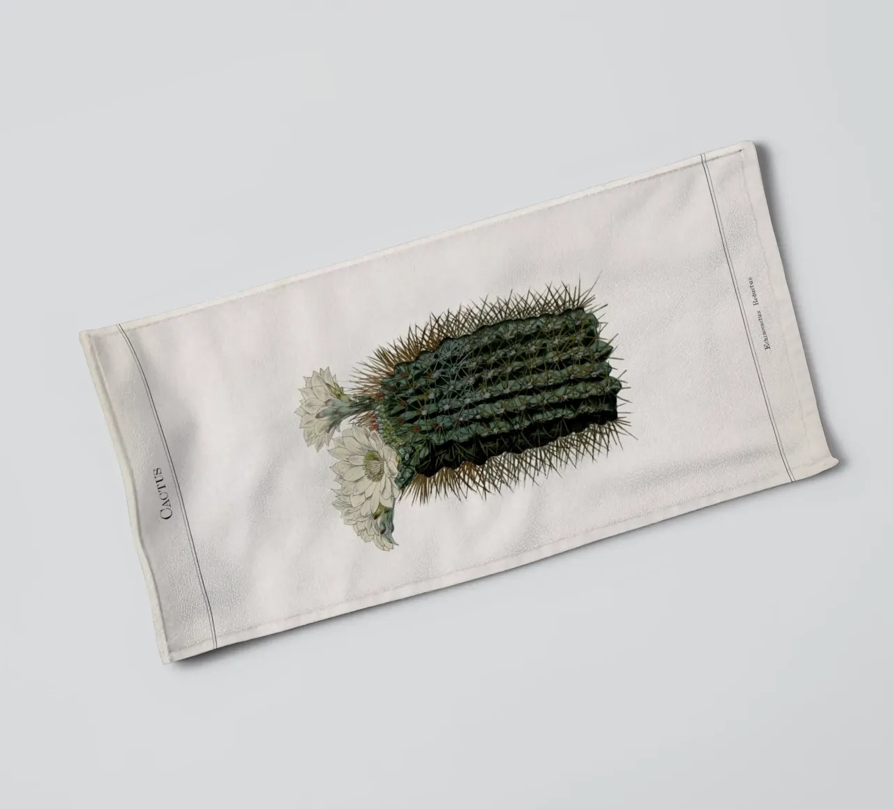 Vintage Curtis 2 Echinocactus Reductus asciugamano da bagno da Vintage Print Collection