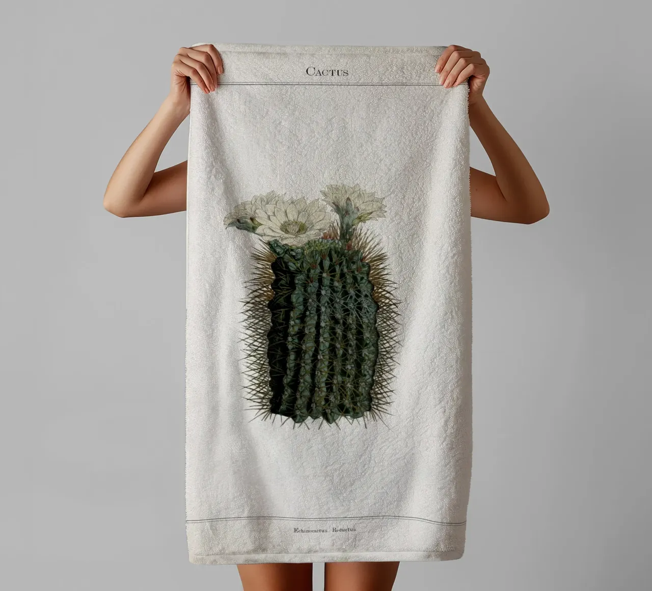 Vintage Curtis 2 Echinocactus Reductus asciugamano da bagno da Vintage Print Collection