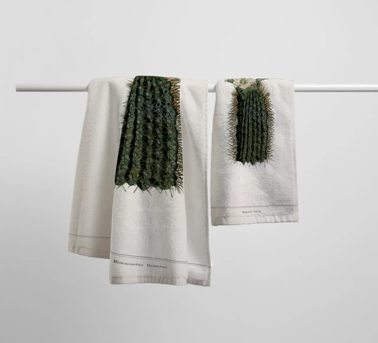 Vintage Curtis 2 Echinocactus Reductus asciugamano da bagno da Vintage Print Collection