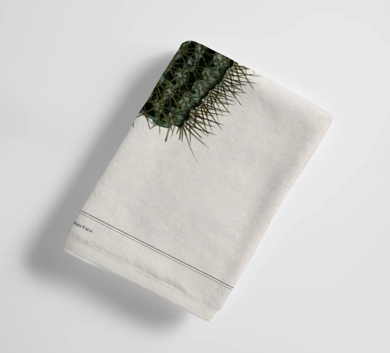 Vintage Curtis 2 Echinocactus Reductus asciugamano da bagno da Vintage Print Collection