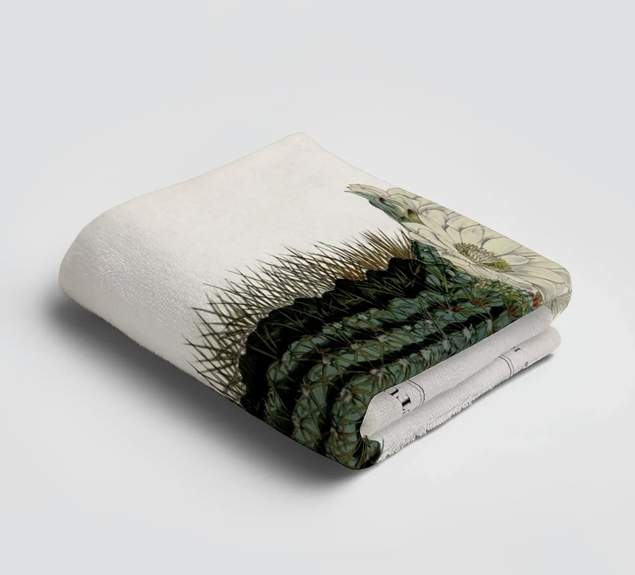 Vintage Curtis 2 Echinocactus Reductus asciugamano da bagno da Vintage Print Collection