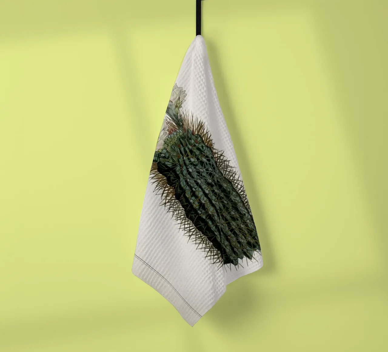 Vintage Curtis 2 Echinocactus Reductus canovaccio da cucina da Vintage Print Collection