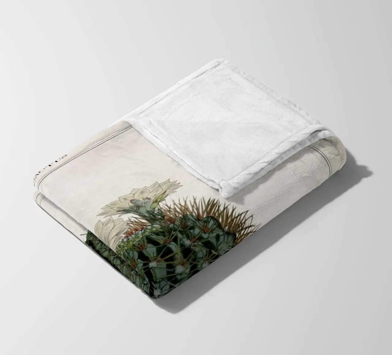 Vintage Curtis 2 Echinocactus Reductus coperta in pile da Vintage Print Collection