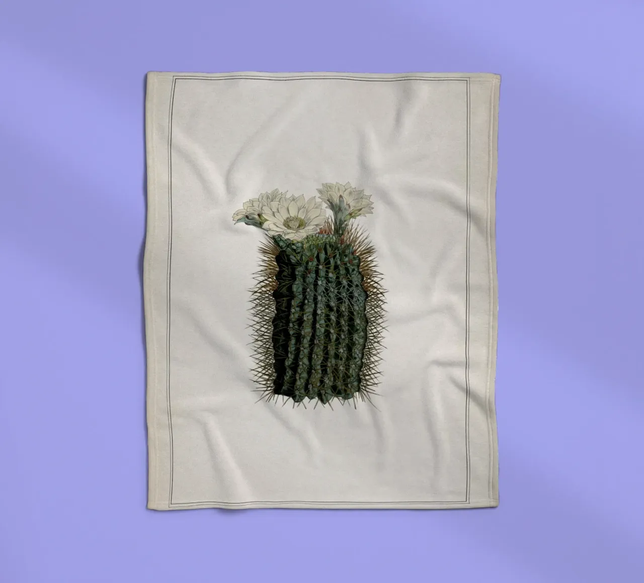 Vintage Curtis 2 Echinocactus Reductus coperta in pile da Vintage Print Collection