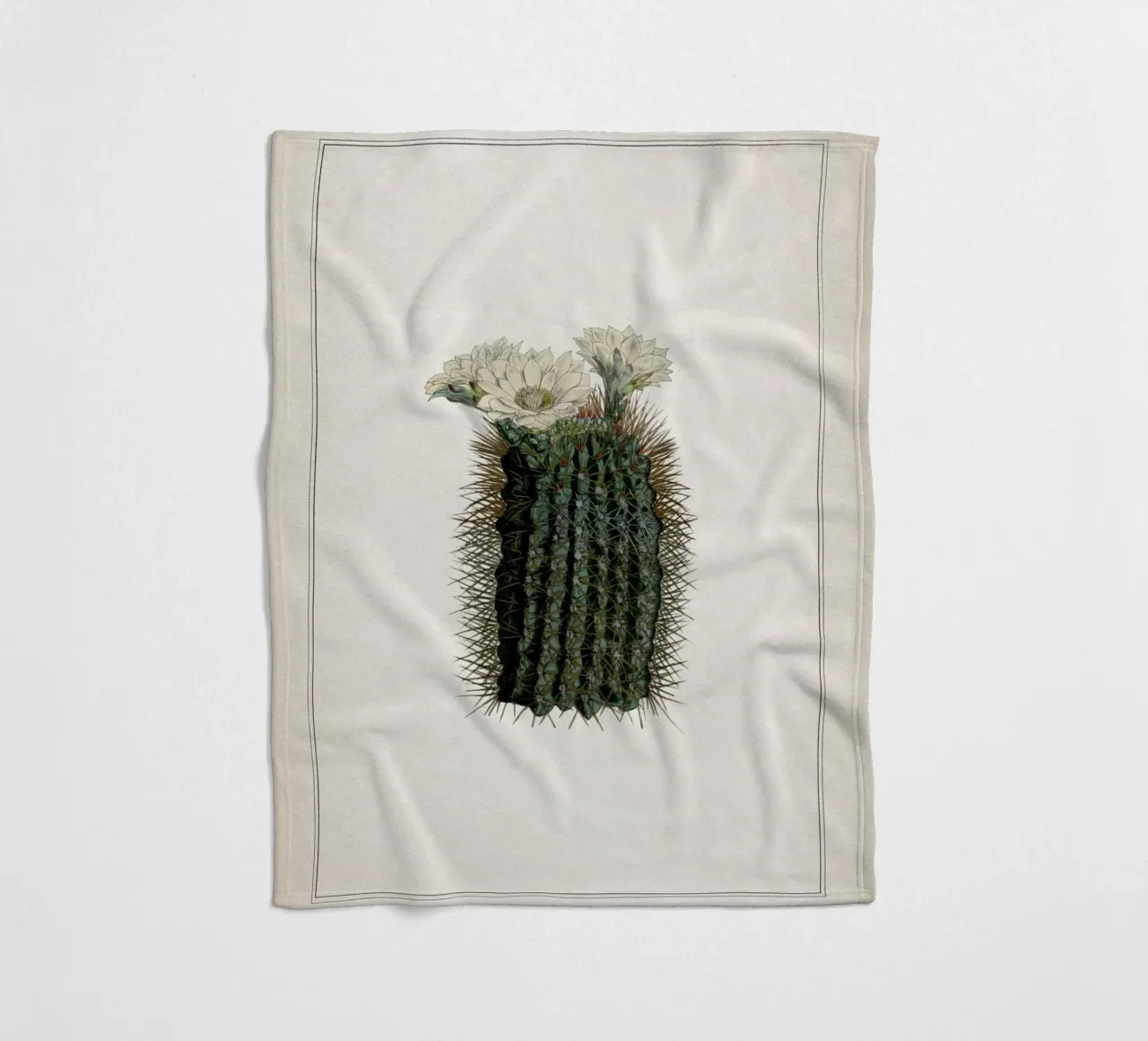 Vintage Curtis 2 Echinocactus Reductus coperta in pile da Vintage Print Collection