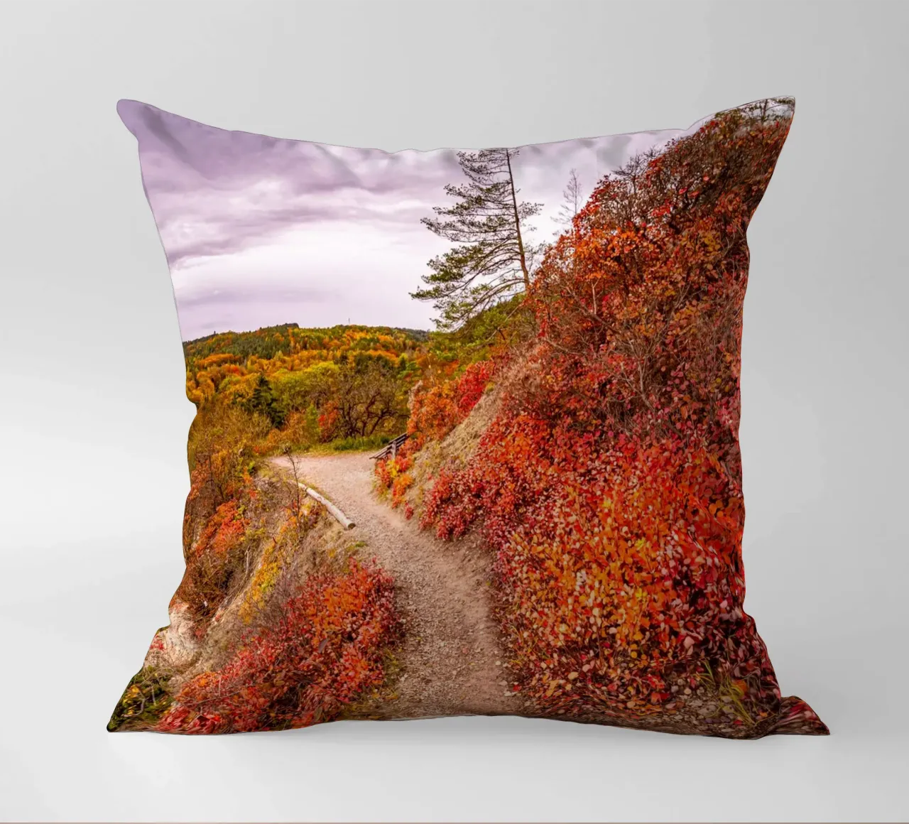 Perückensträucher decorative cushion by Marcus Beckert | Fotografie