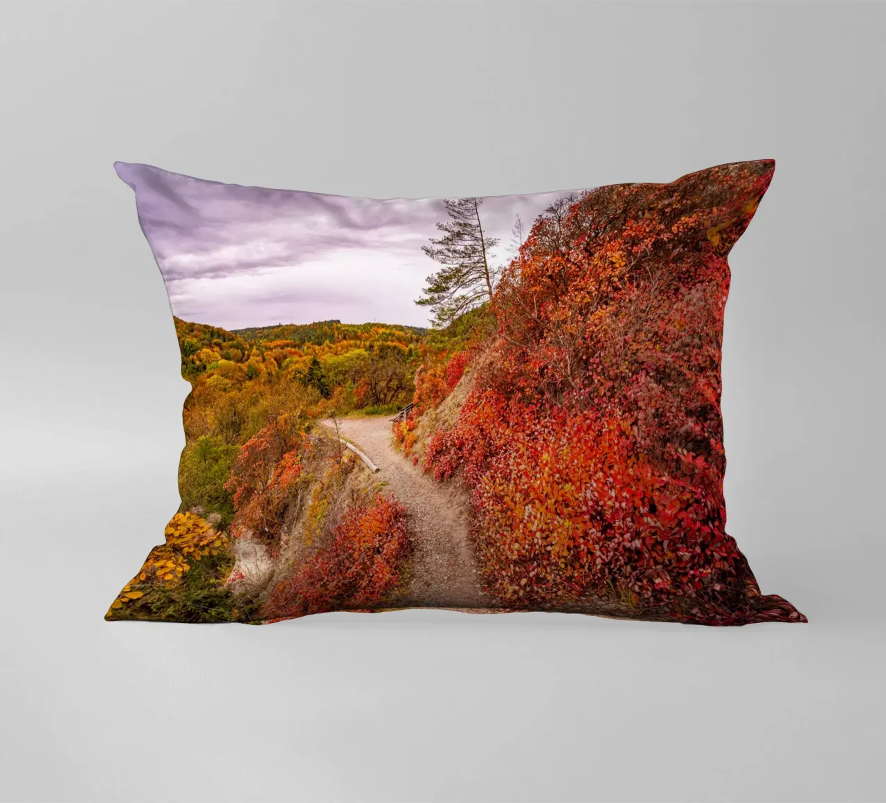 Perückensträucher decorative cushion by Marcus Beckert | Fotografie