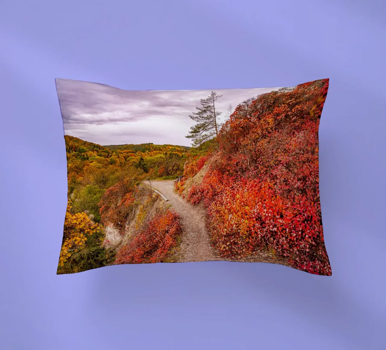 Perückensträucher decorative cushion by Marcus Beckert | Fotografie