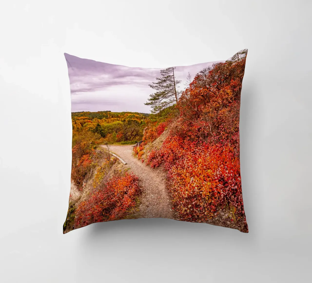 Perückensträucher decorative cushion by Marcus Beckert | Fotografie