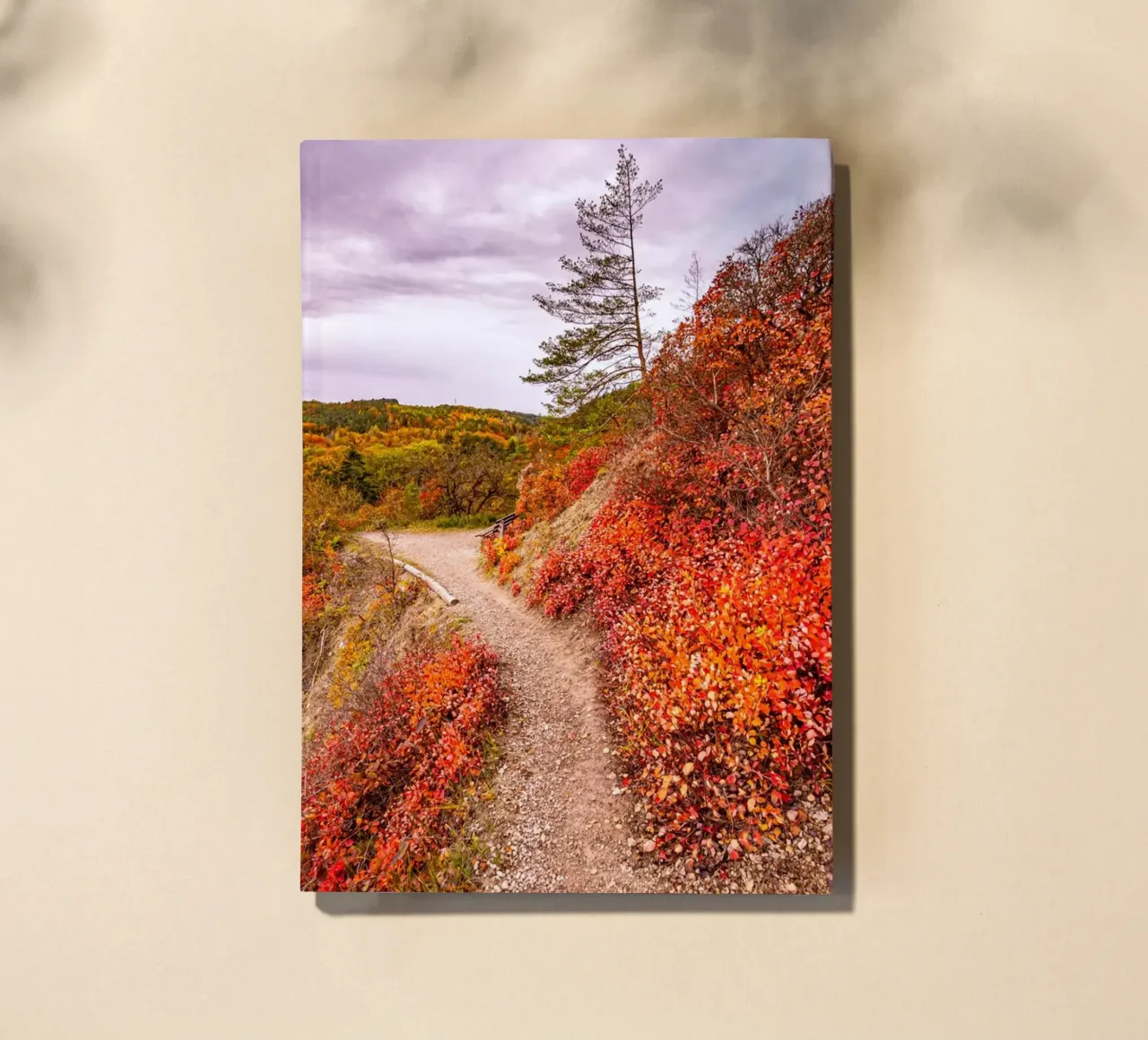 Perückensträucher notebook by Marcus Beckert | Fotografie