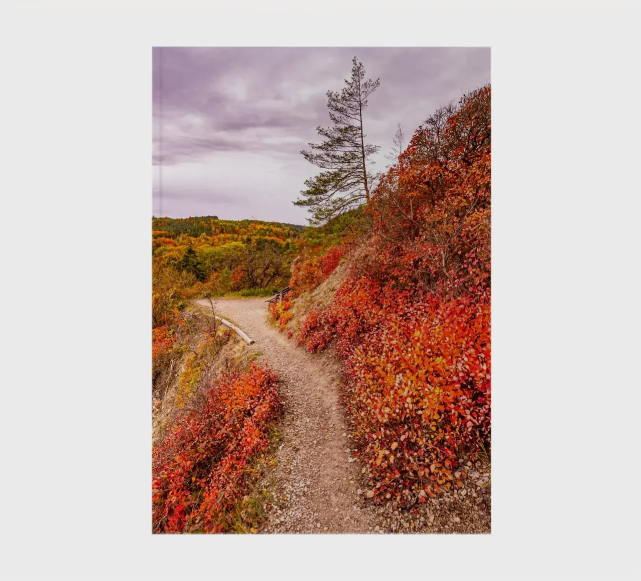 Perückensträucher notebook by Marcus Beckert | Fotografie