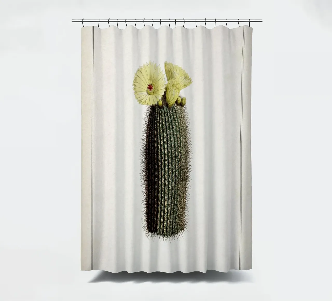 Vintage Curtis 2 Echinocactus Scopa shower curtain by Vintage Print Collection