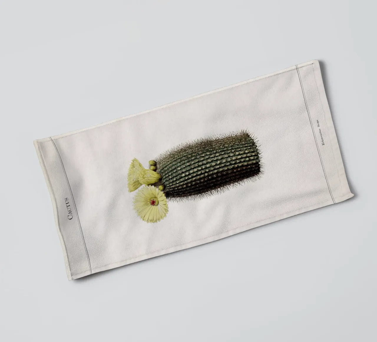 Vintage Curtis 2 Echinocactus Scopa asciugamano da bagno da Vintage Print Collection