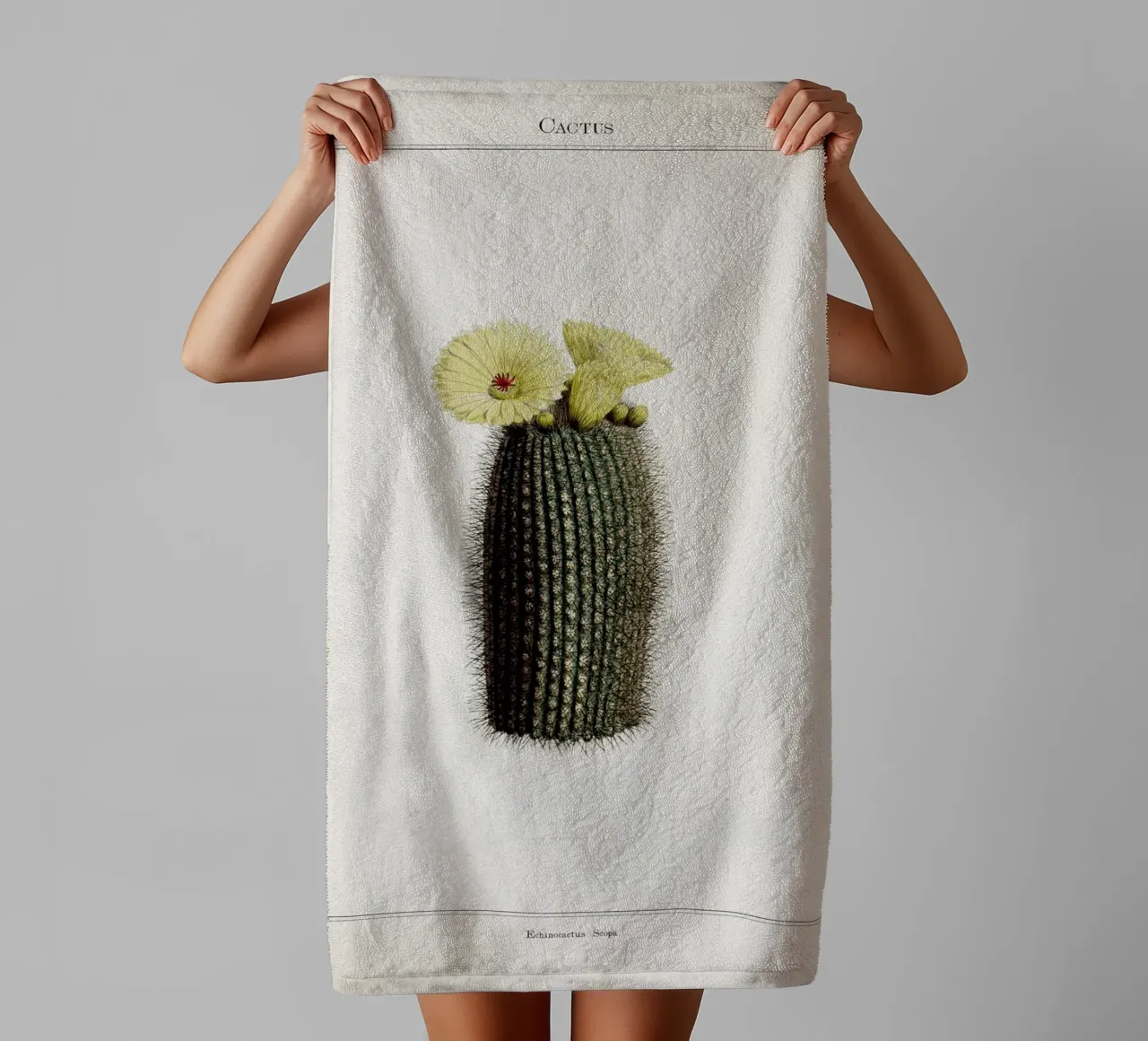 Vintage Curtis 2 Echinocactus Scopa asciugamano da bagno da Vintage Print Collection